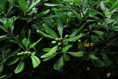 好评手游《蹒跚英雄+》年内移植Steam平台